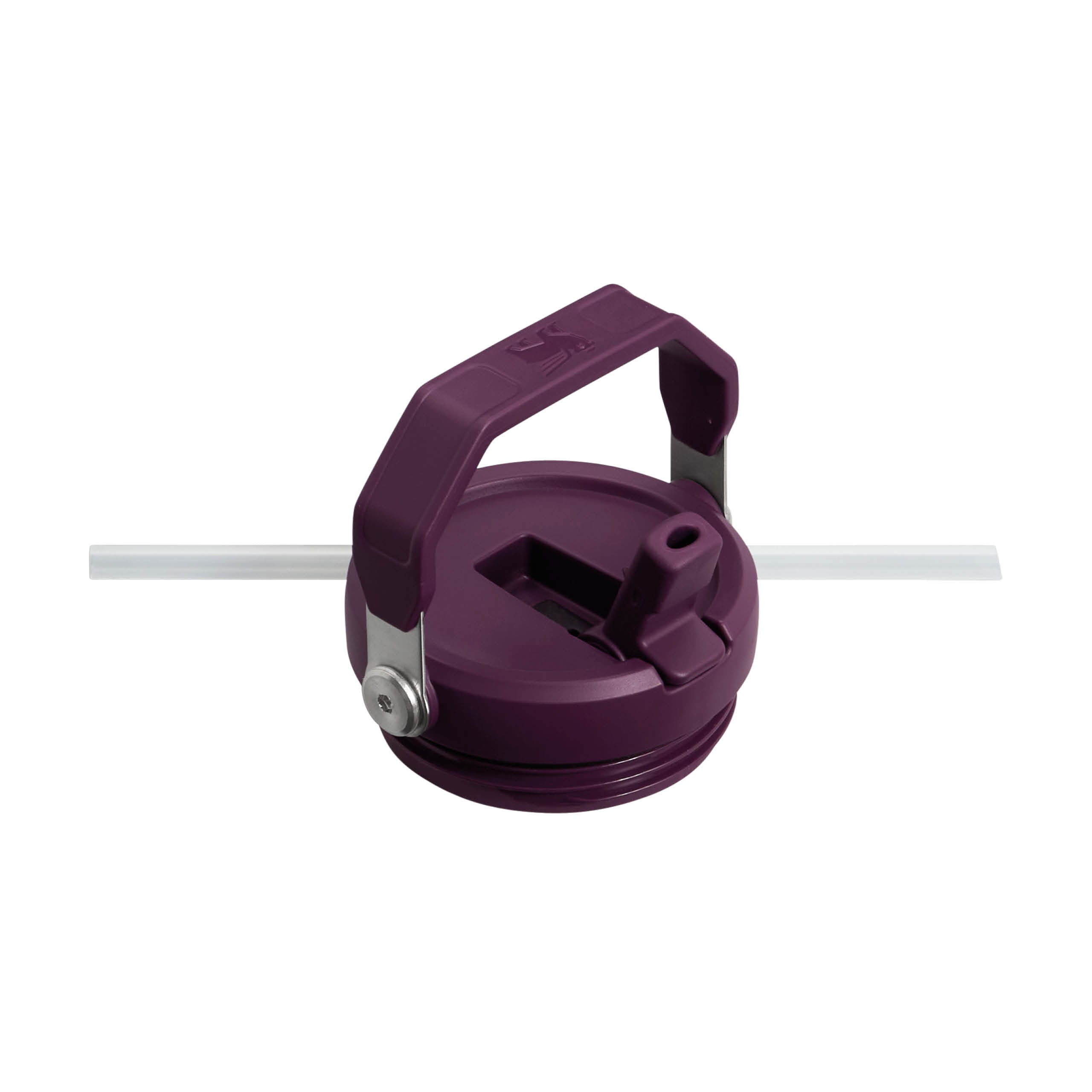 IceFlow Flip Straw Tumbler | 0.89L